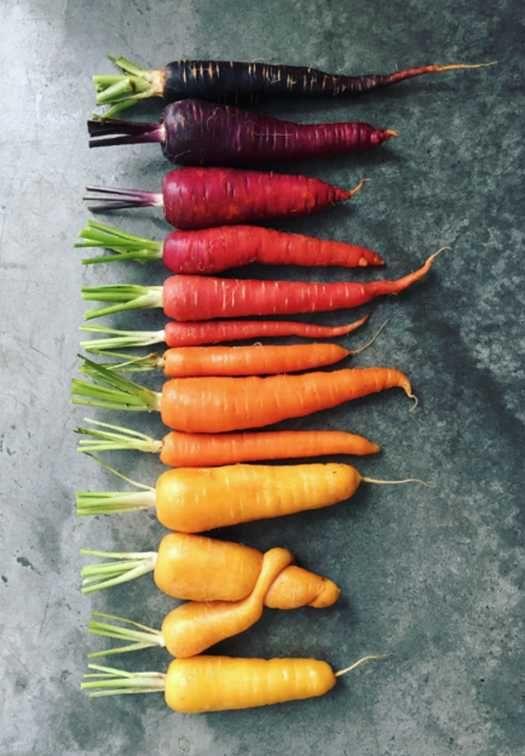 Heirloom Harvest: Root & Leaf Collection